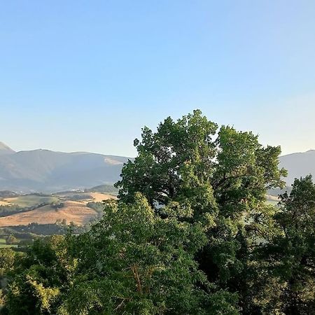 Pigno, Appartamento In Campagna Cagli Bagian luar foto