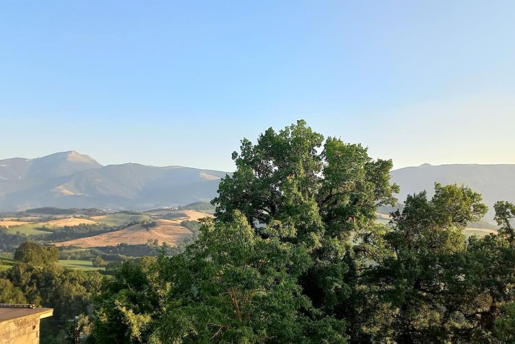 Pigno, Appartamento In Campagna Cagli Bagian luar foto
